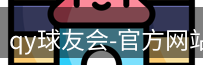 qy球友会